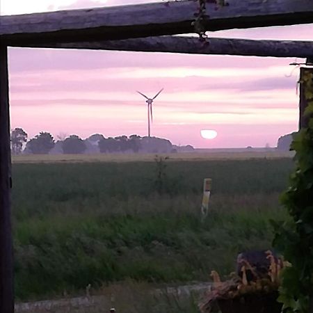 Landhaus Loewenzahn Dornum Buitenkant foto